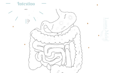 L’intestino sano garantisce benessere a tutto l’organismo.